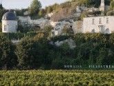 Bezoek de wijngaarden van Anjou-Saumur en ontdek het cultureel erfgoed !