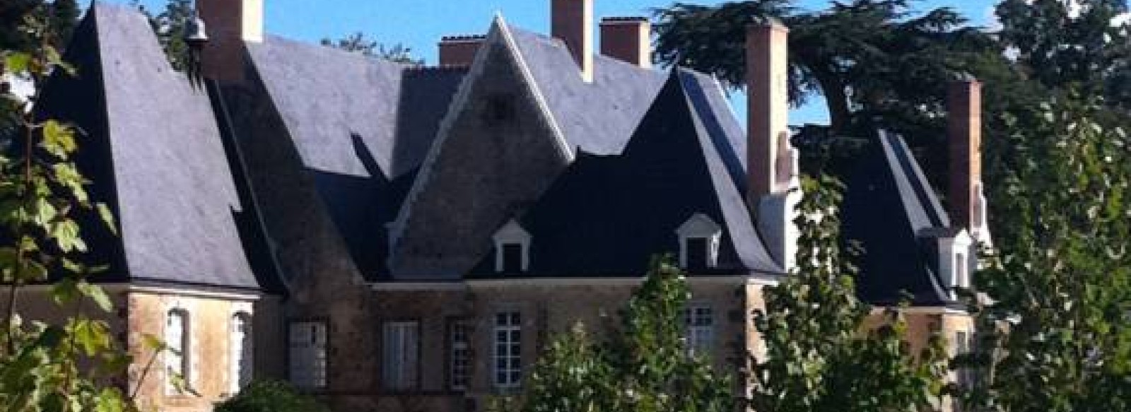 Chateau de Martigne