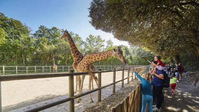 Zoo des Sables d'Olonne - activité familiale en Pays de la Loire