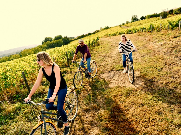 Découverte du vignoble du Jasnières à vélo - Vallée du Loir - Sarthe