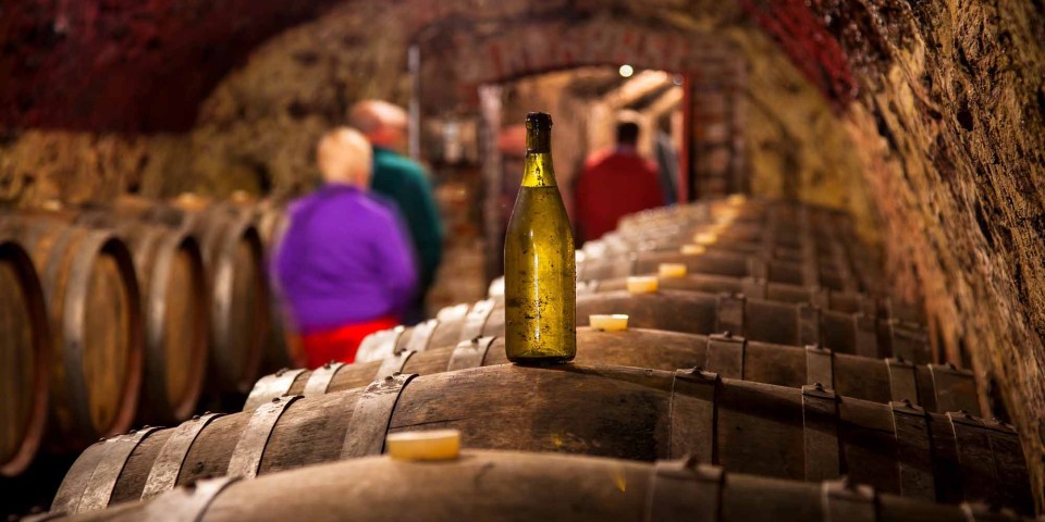 Explorez la Vallée du Loir pour goûter à ses vins blancs fruités 