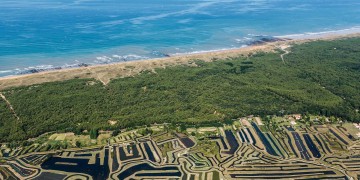 In Guérande en op Noirmoutier: uitstapjes zonder gebrek aan zout